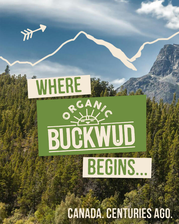 Buckwud